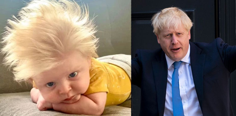 Mini Boris Johnson