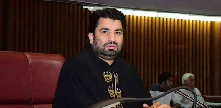 Qasim Suri, National Assembly, dy speaker