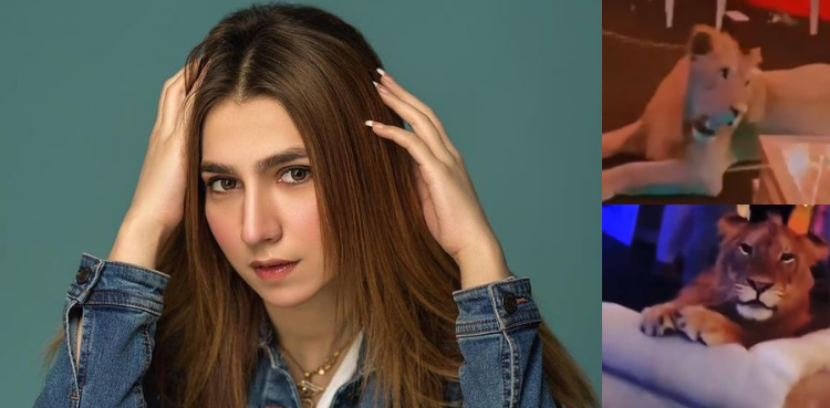 Instagram Influencer Susan Khan