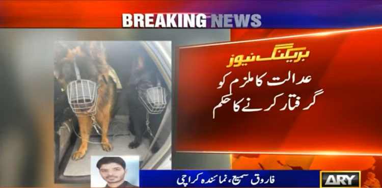 Pet Dog Attack Case DHA