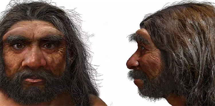 dragon man, human species, scientists, China