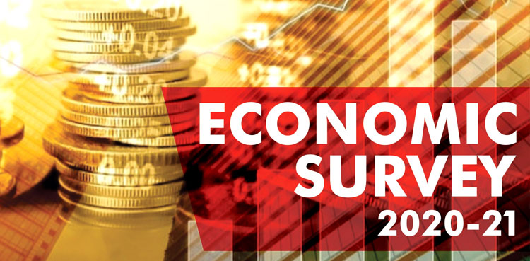 Economic Survey 2020-21