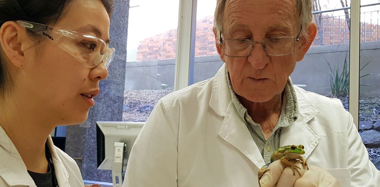 frog whisperer australian scientist