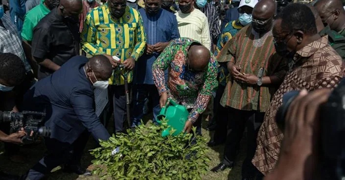 Ghana trees