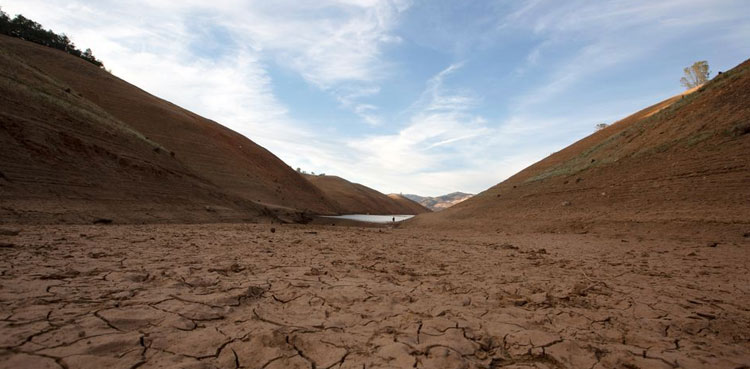heat-wave Pacific Northwest