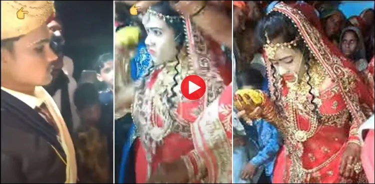 bride, groom, throw flowers, marriage ceremony