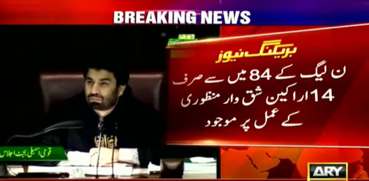 national assembly, pmln, finance bill