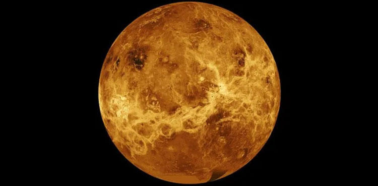 Venus Life planet