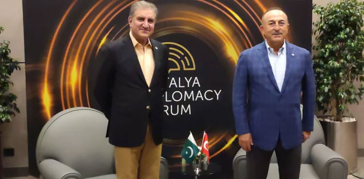 Shah Mahmood Qureshi Afghan peace