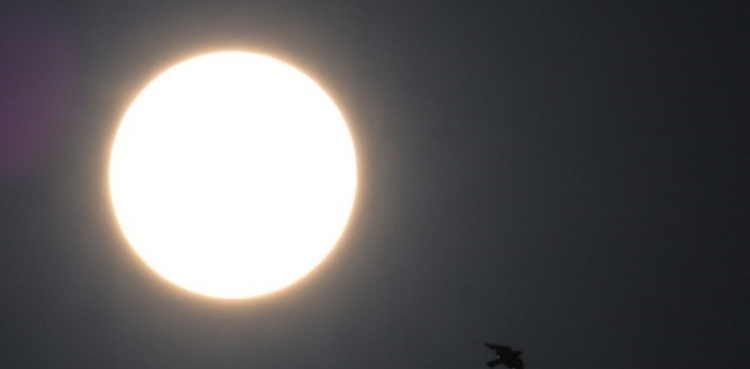 solar flare activity