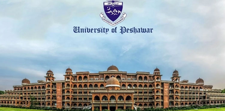 Peshawar university accounts