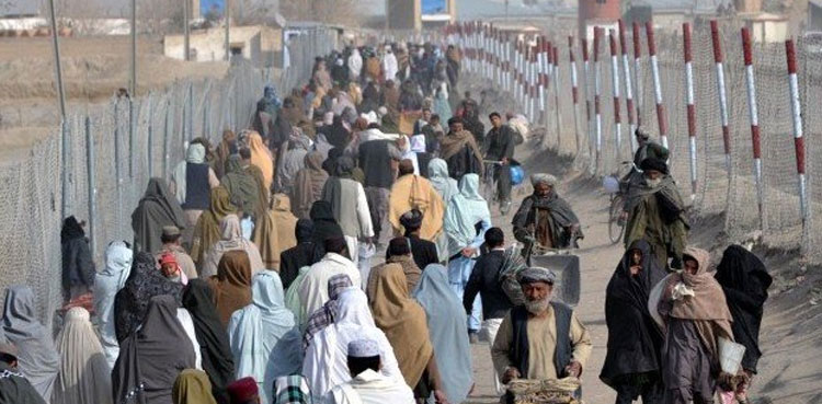 Afghan refugees, deportations
