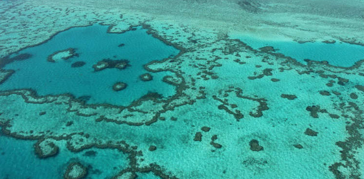 Great Barrier Reef