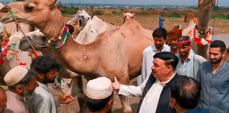 Sheikh Rasheed Ahmed