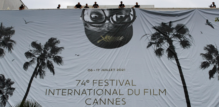 queer palm, cannes