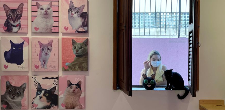 Gato Cafe