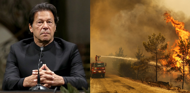 imran khan turkey wildfires pakistan