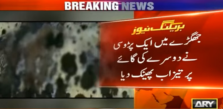 Man-hurls-acid-on-neighbour's-cow-in-post-conflict-revenge