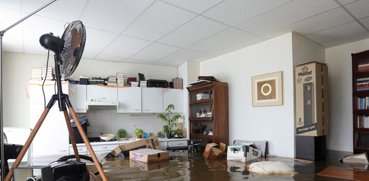 Netherlands flooding