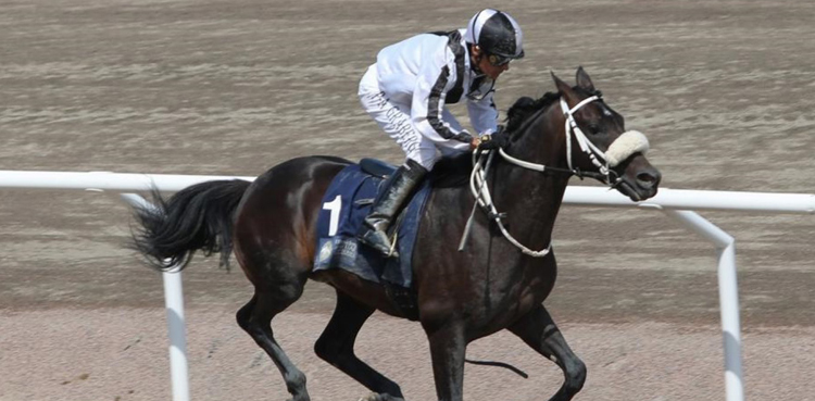 UAE President’s Cup Rasmi Al Khalidiyah