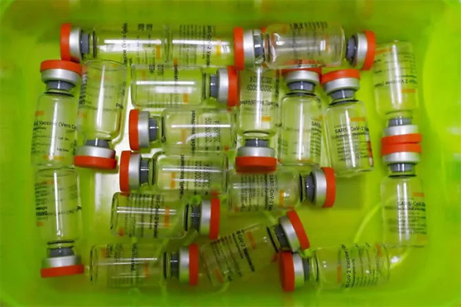 Pakistan historic vaccination numbers