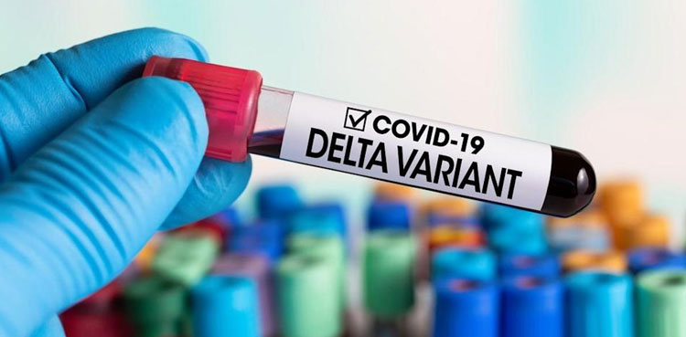 Karachi Delta variant coronavirus