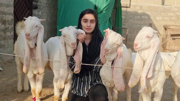 Sania Munif