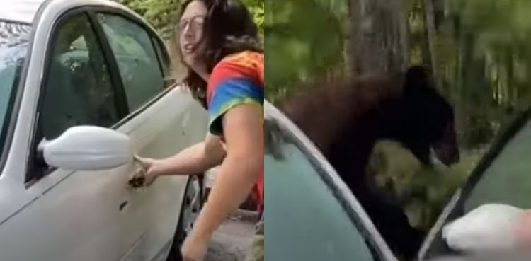 man joseph deel bear vehicle viral video