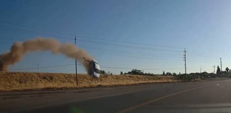 driver smoking car flies