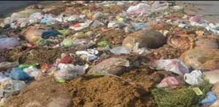 eidul adha karachi anima remains