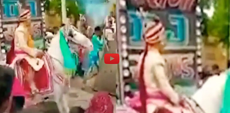 Indian groom wedding horse runs away