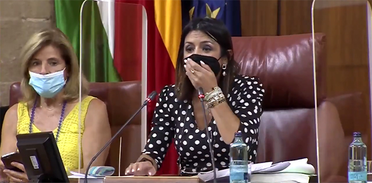 spain, parliament, rat,