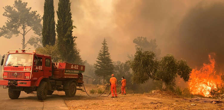 Turkey fires turkish