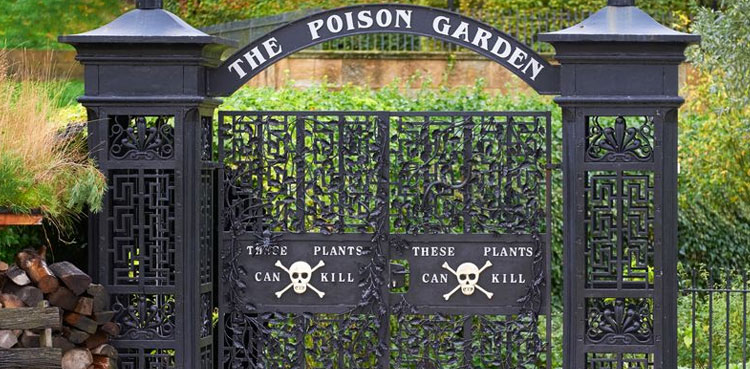 world-poisonous-garden-uk