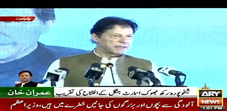 Imran Khan Smart Forest