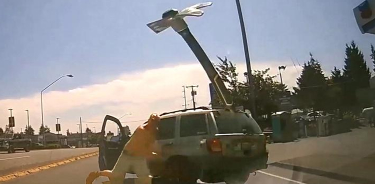 driver road rage hammer windshield viral video