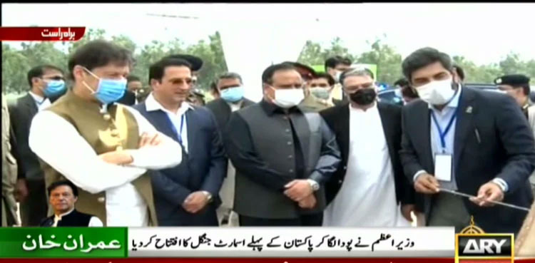 Imran-Khan-Smart-forest