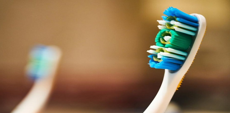 animal rescuers hissing cobra electric toothbrush