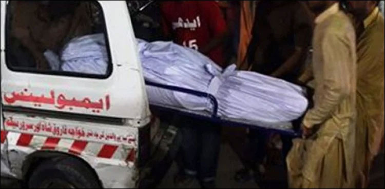 karachi son kills father property