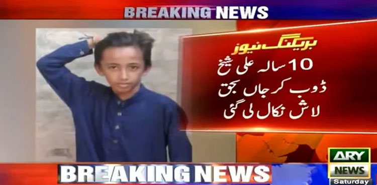 larkana boy dog bite