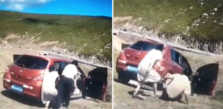 family-jumps-car-rolls-down-cliff
