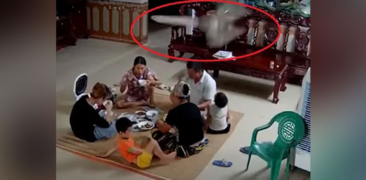 Ceiling fan vietnamese family