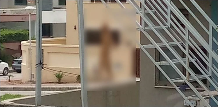 Man arrested cat Islamabad hanging