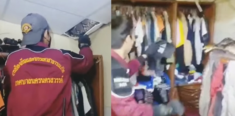 massive snake attack man ceiling video