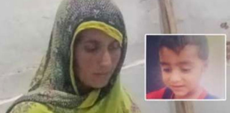 arifwala woman kills nephew