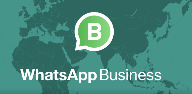 multiple-users-whatsapp-business, WhatsApp Business new feature