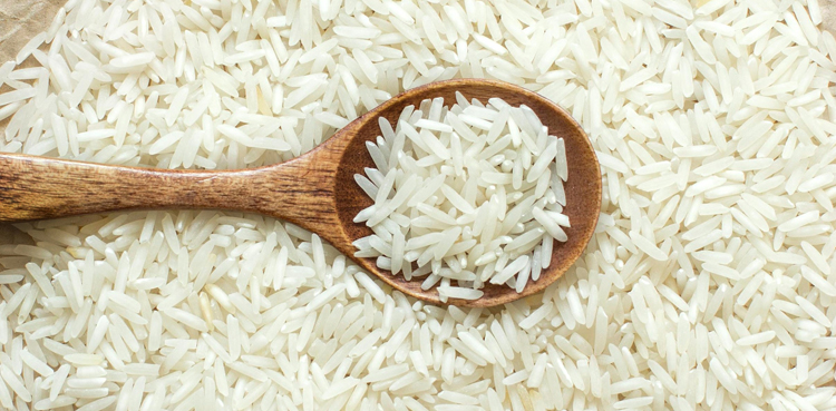pakistan rice export