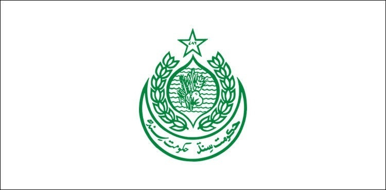sindh cabinet reshuffle portfolios ministers advisers