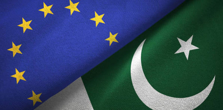 EU Monitoring Mission GSP-Plus
