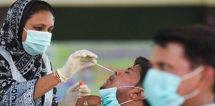 coronavirus infections deaths khyber pakhtunkhwa